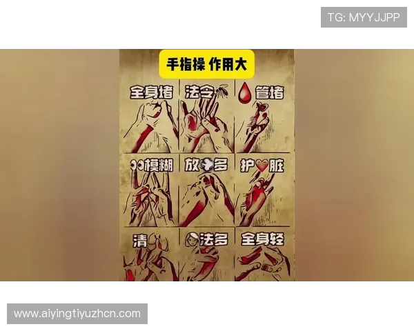 尊龙新版玩法规则新手指南，零基础玩家也能快速上手掌握核心玩法技巧